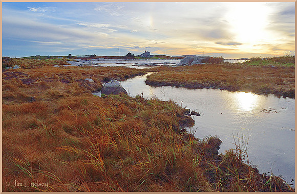 Tidal Marsh w border DSC_0403