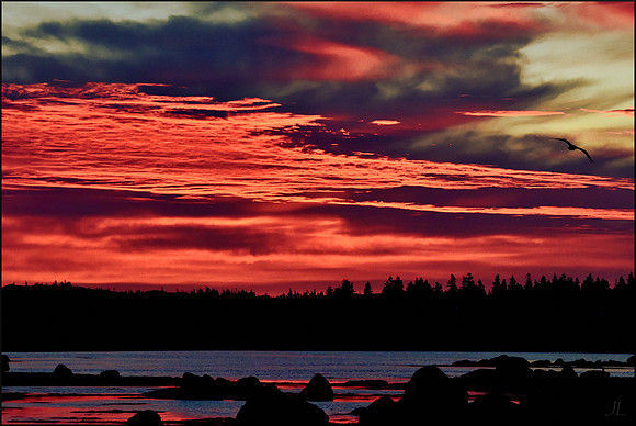 Sunrise Through the Clouds 5 w sig for website DSC_1384