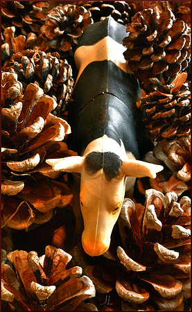 Cow and Cone DSC_0491