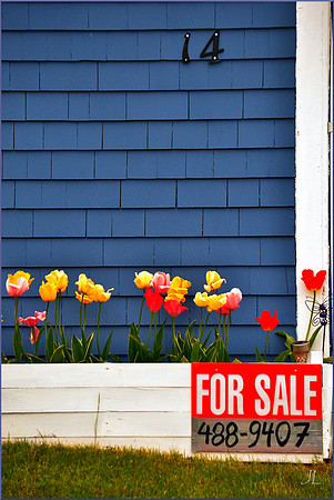 For Sale DSC_0331