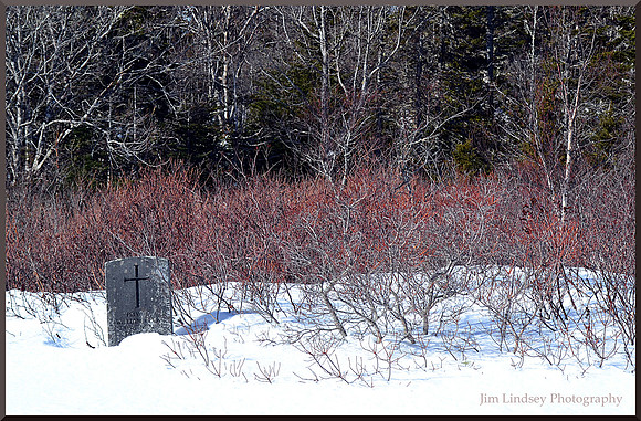 Becoming Nature with border
