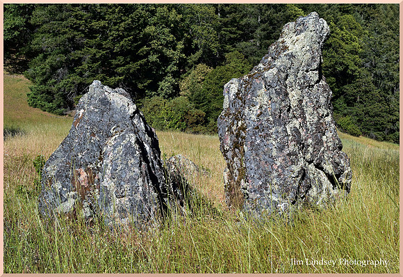 We Were as One w border DSC_0499