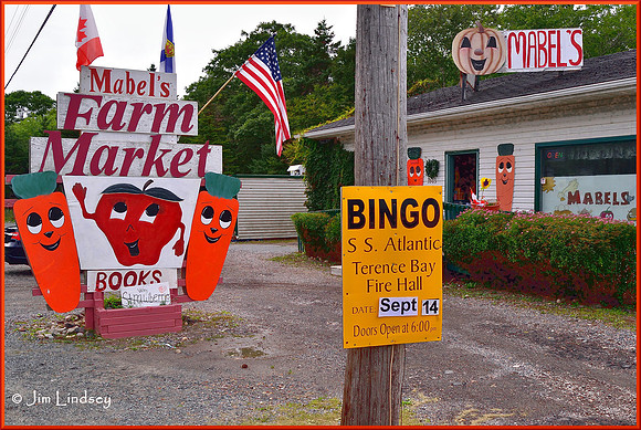 Mabel's w border DSC_0094
