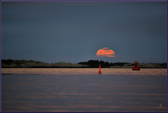 Strawberry Moon DSC_1162