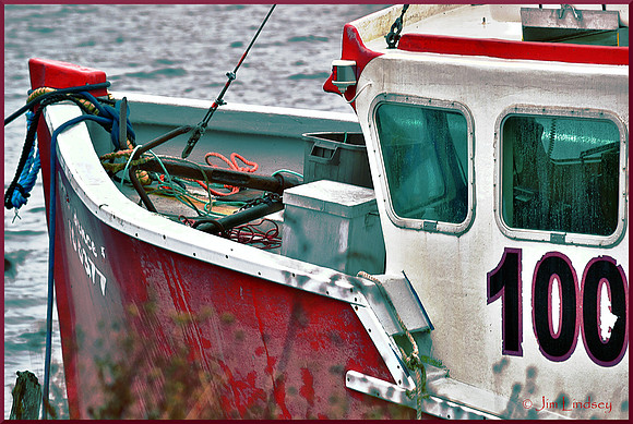 The Face of Boldness w border DSC_0551