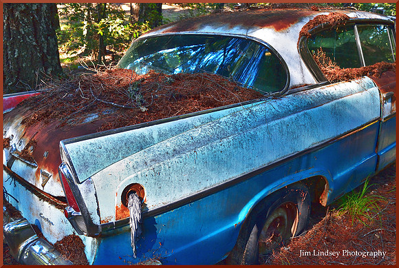 Cars in the Woods 11 w border DSC_0744
