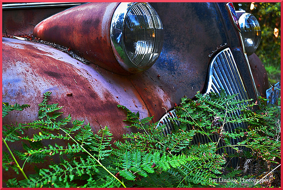 Cars in the Woods 19 w border DSC_0744