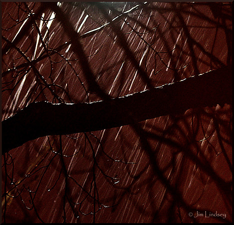 Snowy Morning w border DSC_0739