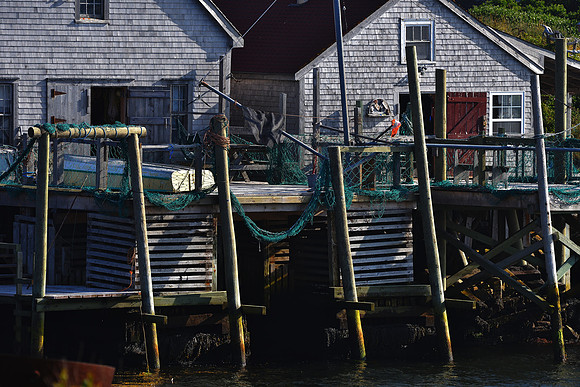 Stages DSC_0863