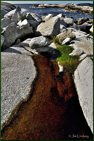 Tidal  Pool w border DSC_0230
