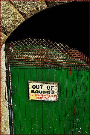 Where I Have Been Most of My Life DSC_1286