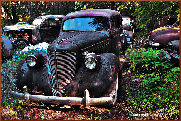 Cars in the Woods 8 w border DSC_0744