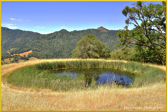Lost Pond in the Altogether w border DSC_0089