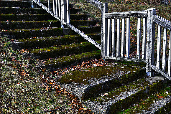 Nature's Way w sig DSC_0694