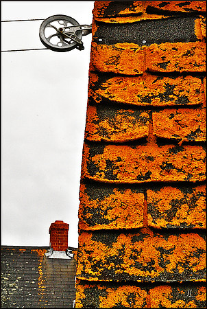 Coincidence DSC_0634