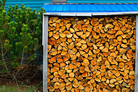 Firewood 2016 2 DSC_0534