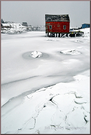 Ice Flowers with border