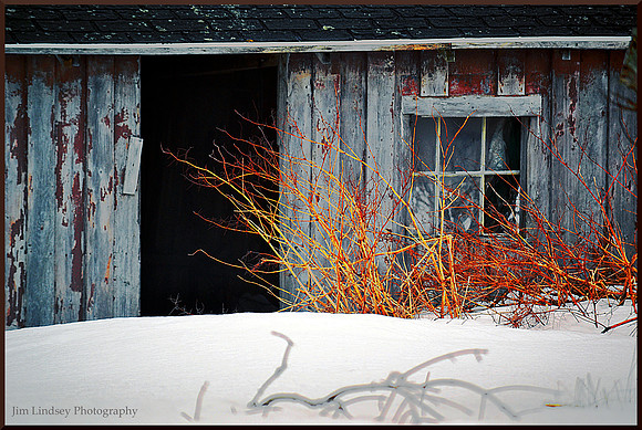 Just Stepped Out w border DSC_0047