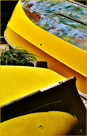 Yellow-Bellied Boats DSC_0091