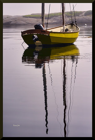 Reflection in a Foggy Cove DSC_5185