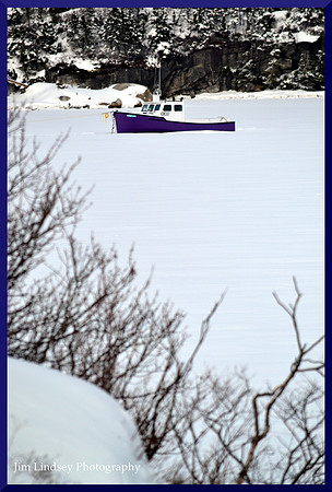 Not Today DSC_0521