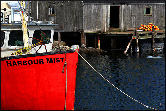 Harbour Mist DSC_0412