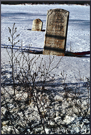 In the Cold Cold Ground with border