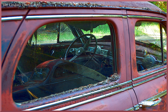 Cars in the Woods 5 w border DSC_0744