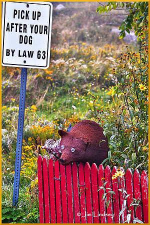 By Law and Bear Head w border DSC_0199