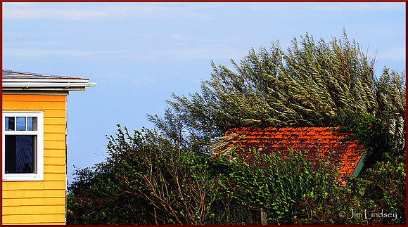 The House Next Door w border DSC_0543