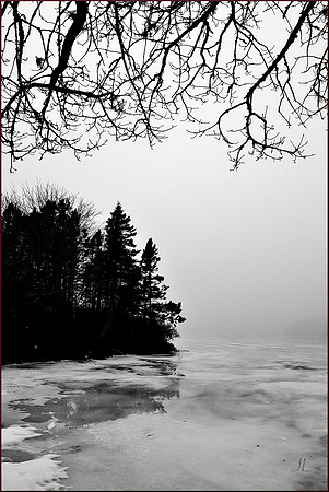 Mid-Winter Thaw w border DSC_1000