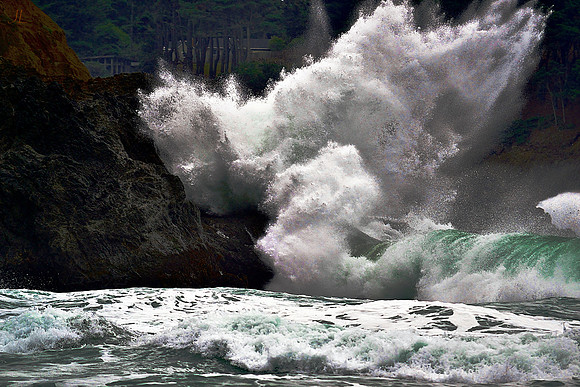 Mendocino Concussion w sig DSC_0192