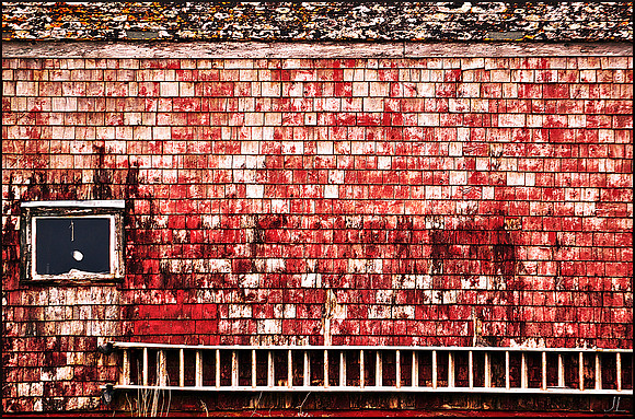 Where the Ladder Abides DSC_0380