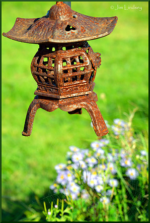 Little Light w border DSC_0011