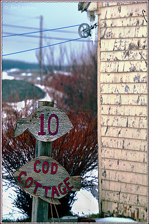 Ten Cod Cottage w border DSC_0597