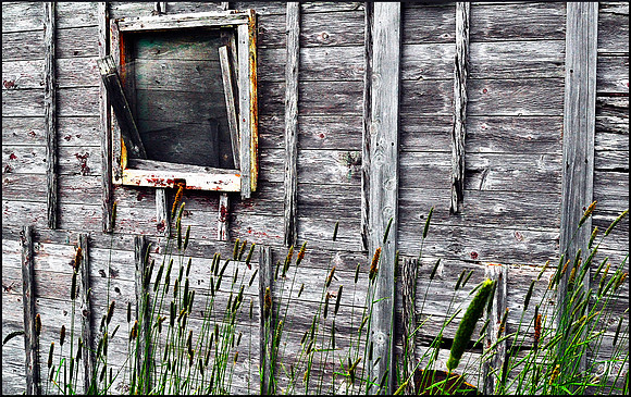 Old Stage and High Grass DSC_0940