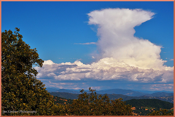 Cloud Flower w border DSC_0409