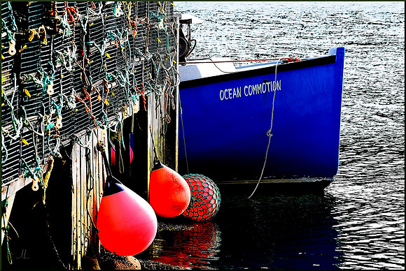 Ocean Commotion w sig scaled down DSC_0858