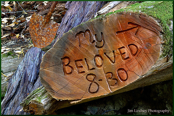 My Beloved w border DSC_0452