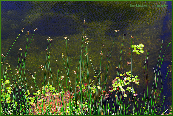 At Walker Lake w border DSC_0067