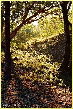 Looking Out Towards the Sun w border DSC_0310