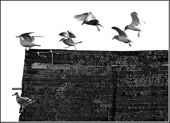Flight TrainingBW