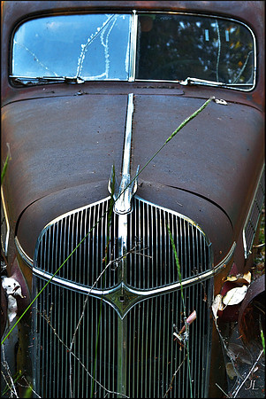 Cars in the Woods 25 w sig DSC_0744