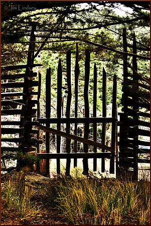 Forest Gate w border DSC_0275