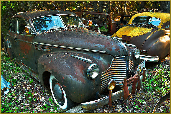 Cars in the Woods 6 w border DSC_0744