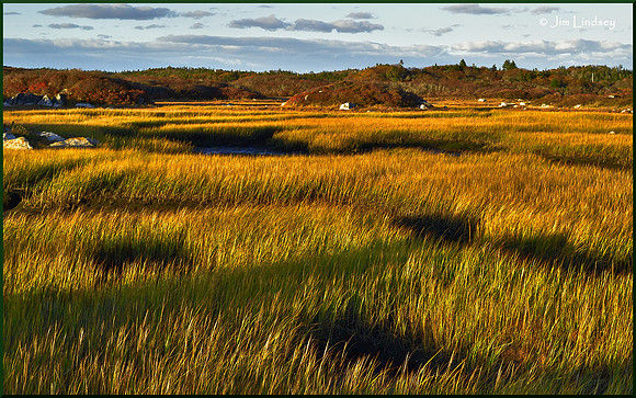 Salt Marsh w border DSC_0386