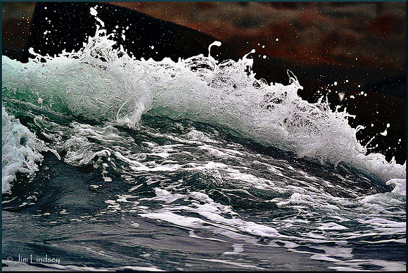 Snow Meeting Spray w border DSC_0796