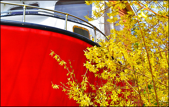 Boat and Bush DSC_0574