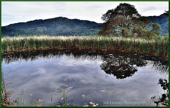 High Pond w border DSC_0412