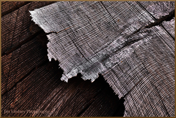 Redwood Stump Detail w cover DSC_0271